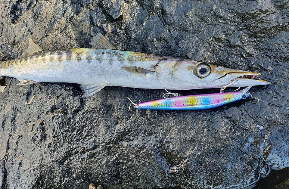 Fishing Lures Life Swimbait Fishing Bait Sinking Lure for Bass Trout Walleye Fishing Tackle Large Hard Bait with Treble Hook